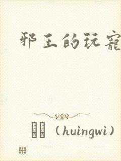邪王的玩宠