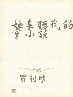 她来听我的演唱会小说封面