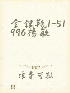 金银瓶1-51996杨敏封面