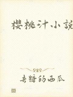樱桃汁小说