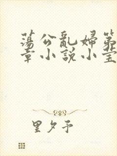 荡公乱妇第51章小说小莹封面