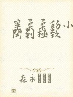 宁柔柔的小泬撑开到极致封面