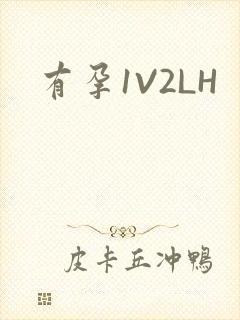 有孕1V2LH