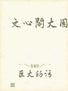 文心阁大团结封面