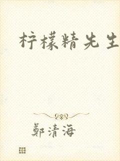 柠檬精先生