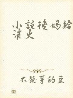 小说后妈给我消消火