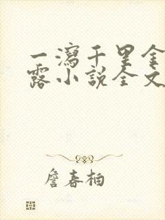 一泻千里金银花露小说全文免费阅读