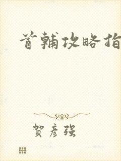 首辅攻略指南