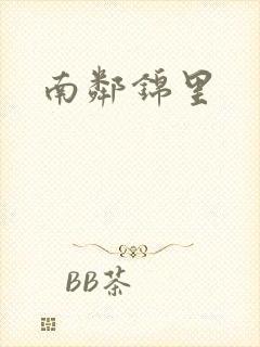 南邻锦里封面