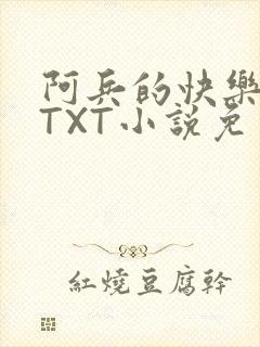 阿兵的快乐生活TXT小说免费阅读全章
