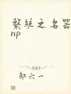 系统之名器攻略np