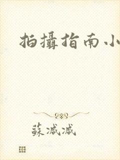 拍摄指南小说