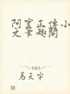 阿宾正传小说全文笔趣阁封面