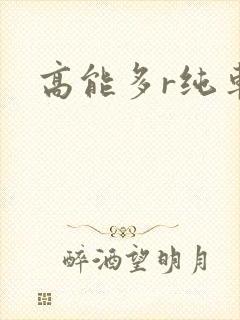 高能多r纯车封面