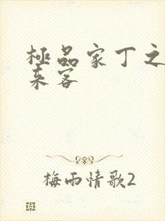 极品家丁之远方来客