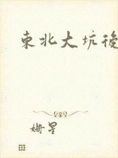 东北大坑后续2封面
