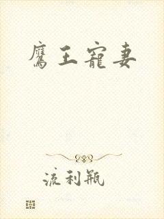 鹰王宠妻封面