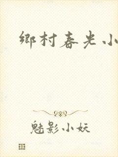 乡村春光小说