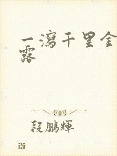 一泻千里金银花露封面