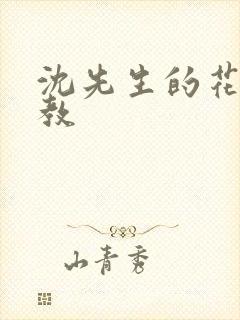 沈先生的花式管教