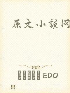 原文小说网