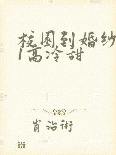 校园到婚纱1V1高冷甜封面