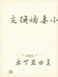 交换娇妻小说