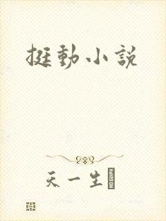 挺动小说