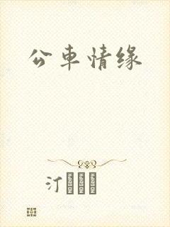 公车情缘