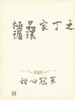 极品家丁之因果循环