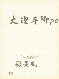 大理寺卿po