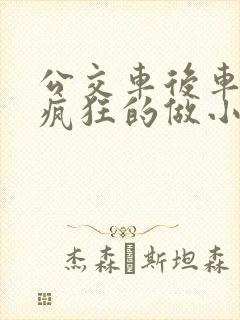 公交车后车座的疯狂的做小