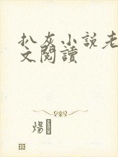 扒灰小说老马全文阅读封面