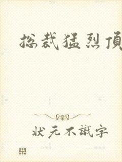 总裁猛烈顶弄h