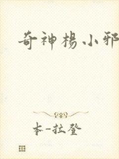 奇神杨小邪封面