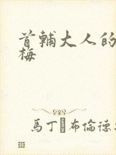 首辅大人的小青梅封面