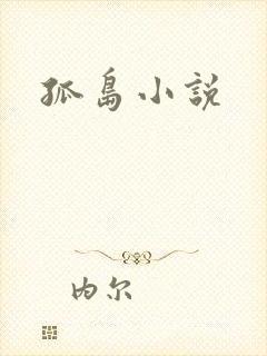 孤岛小说