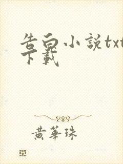告白小说txt下载