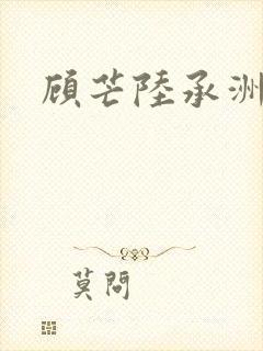 顾芒陆承洲封面