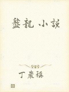 盘龙 小说封面