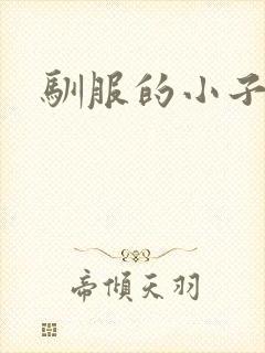 驯服的小子4