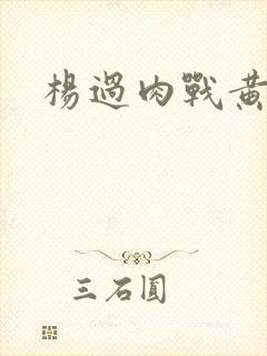 杨过肉战黄蓉