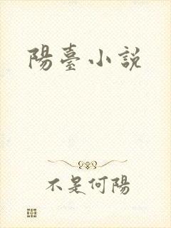 阳台小说封面