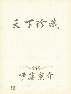 天下珍藏封面