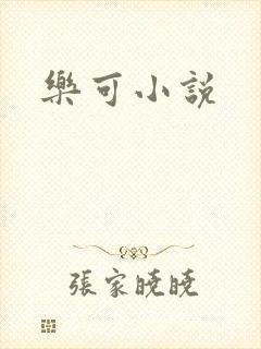 乐可小说封面
