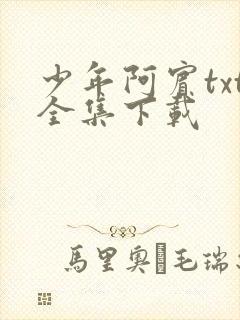 少年阿宾txt全集下载