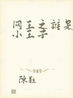 网王之谁是我的小王子