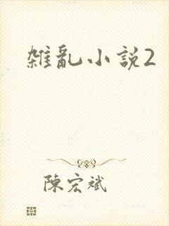杂乱小说2