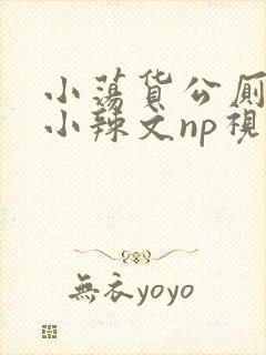 小荡货公厕h文小辣文np视频