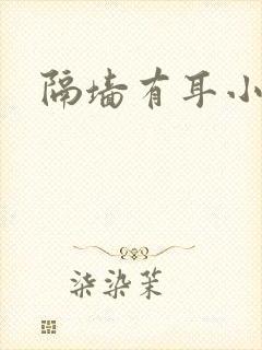 隔墙有耳小说